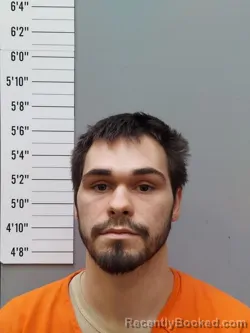 Mugshot of NOAH WADE WILLIAMS