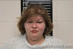 Mugshot of Jennifer Lynn Wells