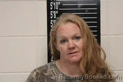 Mugshot of Nikki Fay Lansdell