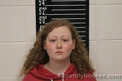 Mugshot of Amanda Adele Schoolcraft