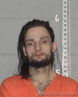 Mugshot of DENNIS ELVIN SULLIVAN