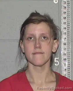 Mugshot of HEATHER NAOMI VOLLIN