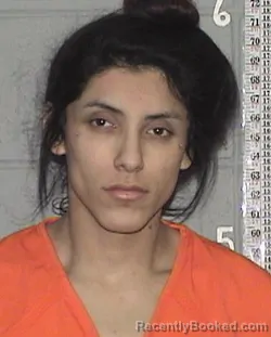 Mugshot of LAWRENCE MOISE MICHEAL LAPLANT