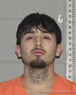 Mugshot of ORLANDO ROBERT SANCHEZ