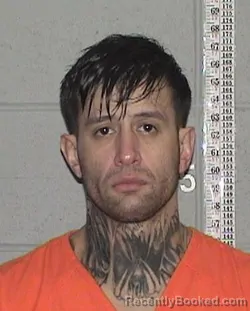 Mugshot of TYSON ANDREW NELSON