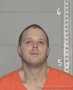 Mugshot of WILLIAM VINCENT SHANAHAN