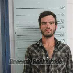 Mugshot of MICHAEL BRODY THEIS