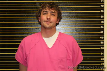 Mugshot of TRAISE ALAN DUMAS