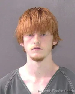 Mugshot of ANDREW ALLEN EVANS