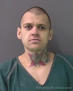 Mugshot of ALEJANDRO CALDERA BRAVO CALDERA