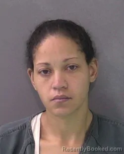 Mugshot of DAYNA MICHELLE JURY MCSPADDEN-SLUCTER