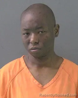 Mugshot of TOLONDA LEEDAMONE MILLIGAN