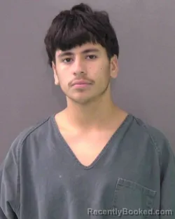 Mugshot of DYLAN NEVAREZ