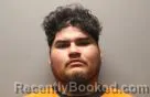 Mugshot of ROBERTO JR GARCIA