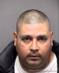 Mugshot of JESSE DIAZ