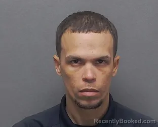 Mugshot of LUIS A ROSARIO MORALES