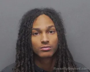 Mugshot of SAADIQ T SALAAM-NICHOL