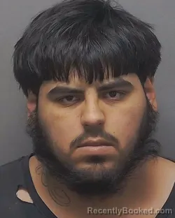 Mugshot of JOSHUA R ALDANA