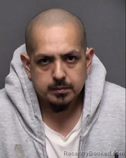 Mugshot of RAUL CASTENEDA