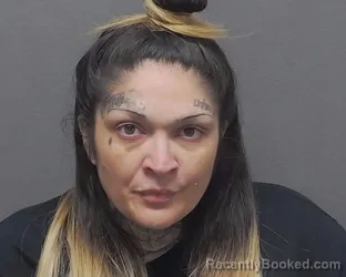 Mugshot of BRIANNA D OWENS