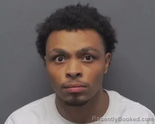 Mugshot of WILLIAM O MARTIN