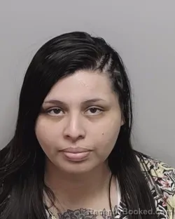 Mugshot of ANIZA D ROJAS