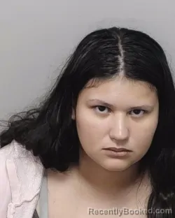 Mugshot of YESSENIA N RAMIREZ