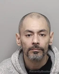 Mugshot of LUIS PEREZ