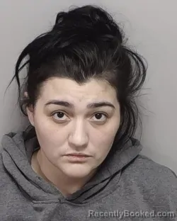 Mugshot of JENNIE L FARIAS