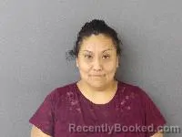 Mugshot of Monica V Valdez