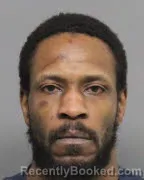 Mugshot of MARCHLLE MCGARITY