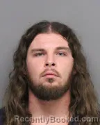 Mugshot of BRENNAN JOHNSON