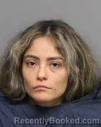 Mugshot of LILIANA VARGAS