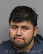 Mugshot of LUIS SANCHEZ
