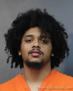 Mugshot of TRELANCE TODD IACOVELLI