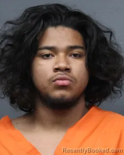 Mugshot of ALLAN RAMOS