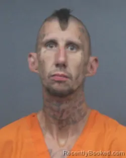 Mugshot of RICHARD RUSSELL MILNE