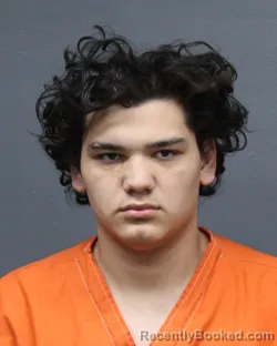 Mugshot of BRADLEY JAMES SILVA