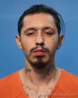 Mugshot of Christian Lee Alviar