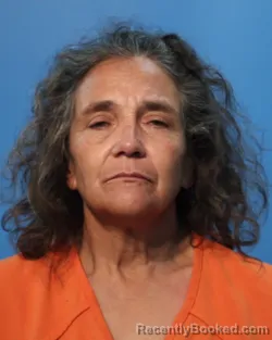 Mugshot of Debra Garza Williams