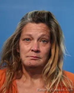 Mugshot of Toni Marie Savoy