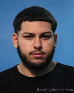 Mugshot of JOSE RAMOS FLORES