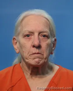 Mugshot of Deborah Kay Halm-etheridge
