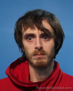 Mugshot of Austin Bradley Lutes