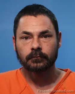 Mugshot of David Lee Frisbee