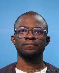 Mugshot of Gbolahan Olanisebe Jolapamo