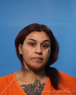 Mugshot of Elizabeth Andrio