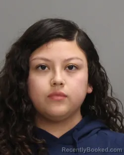 Mugshot of JACKELINE ALARCON-TREJO
