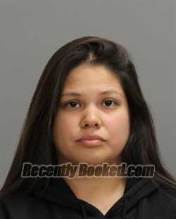 Booking photo from Brazos County, Texas