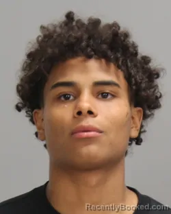 Mugshot of ELI MCNEIL